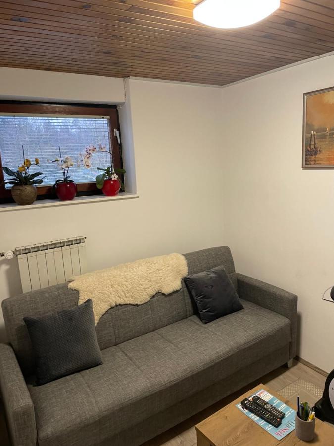 Apartma Sohen Apartment Kocevje Luaran gambar